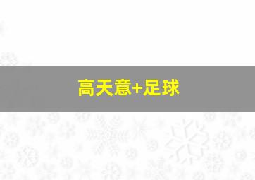 高天意 足球